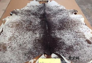 皮革進(jìn)口總代理直銷 品質(zhì)、服務(wù)與供應(yīng)鏈的完美融合